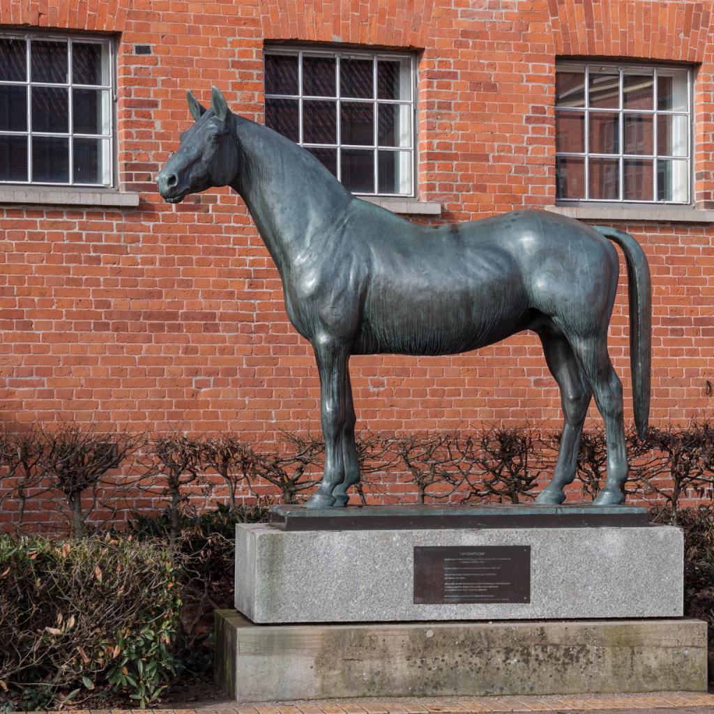Trakehner