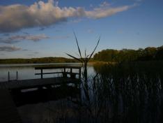 taberbruecker_see_steg_schilf_juli_2017
